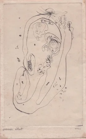 Punta Secca Wols - Ohr