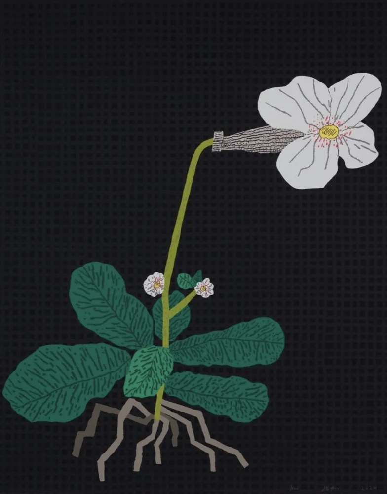 Serigrafia Wood - White Flower with Grid
