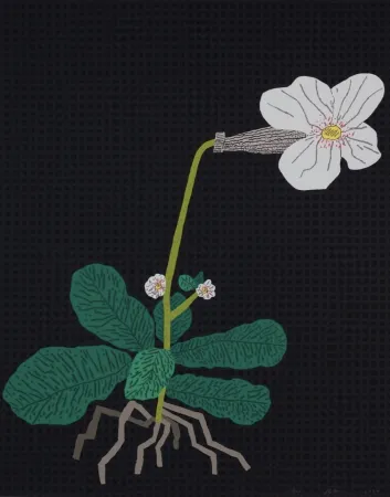 Serigrafia Wood - White Flower with Grid