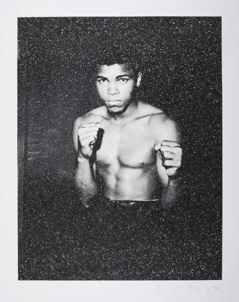 Serigrafia Young - Ali