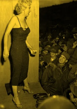 Non Tecnico Young - Marilyn Korea