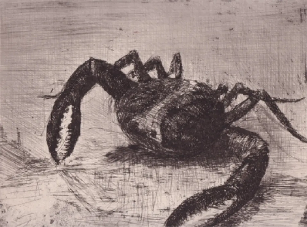 Libro Illustrato Zamorano De Biedma - Bestiaire