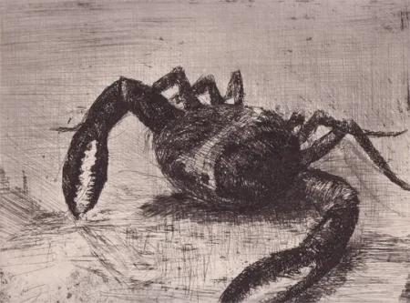 Libro Illustrato Zamorano De Biedma - Bestiaire