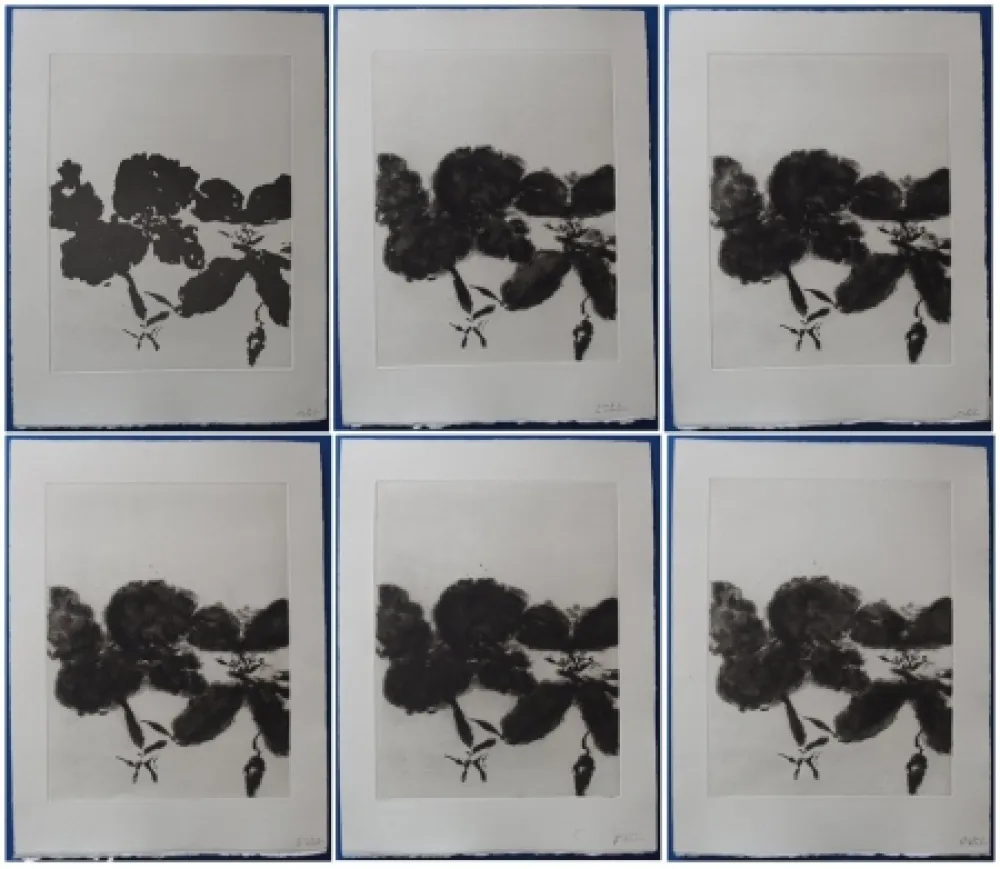 Acquaforte E Acquatinta Zao - 6 états de la gravure 