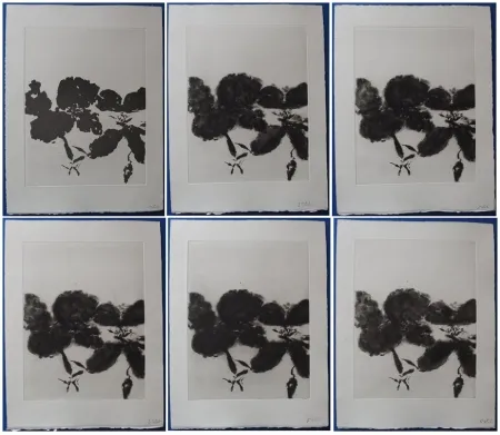 Acquaforte E Acquatinta Zao - 6 états de la gravure 