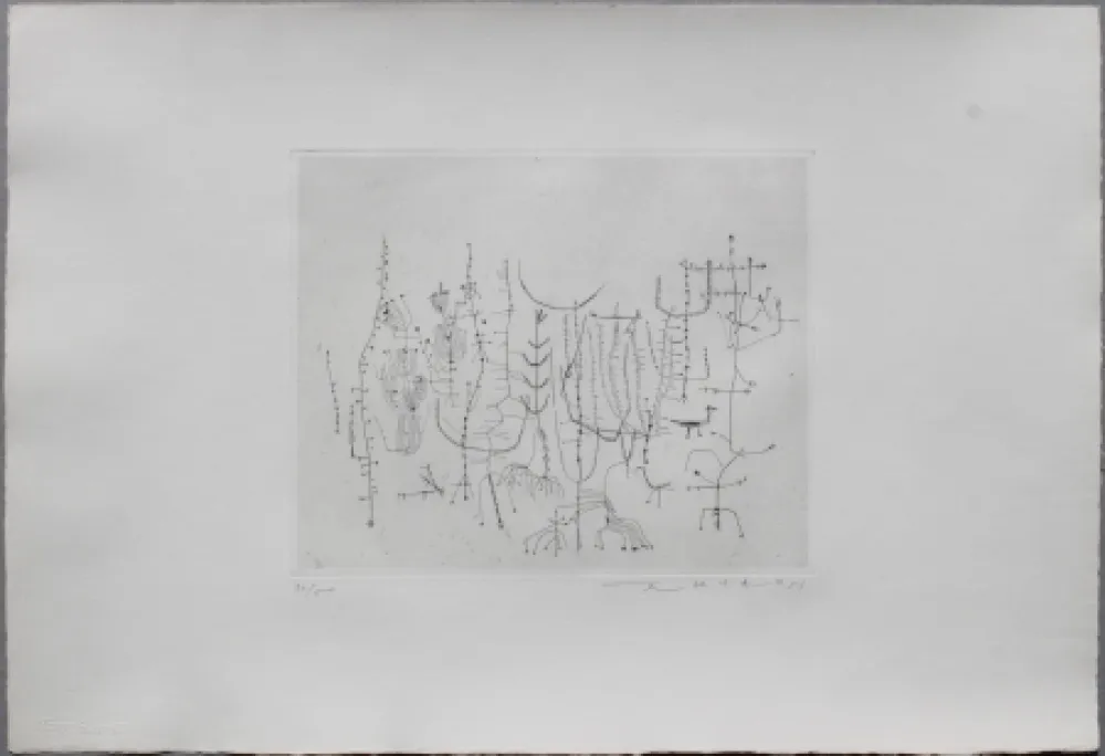 Punta Secca Zao - Arbrisseaux (Shrub)