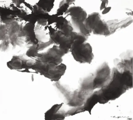 Acquaforte E Acquatinta Zao - Composition 1