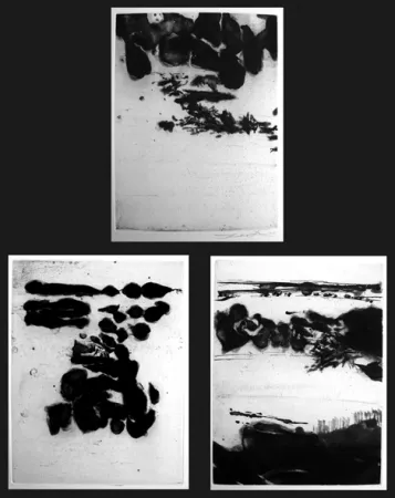 Acquaforte Zao - Genèse