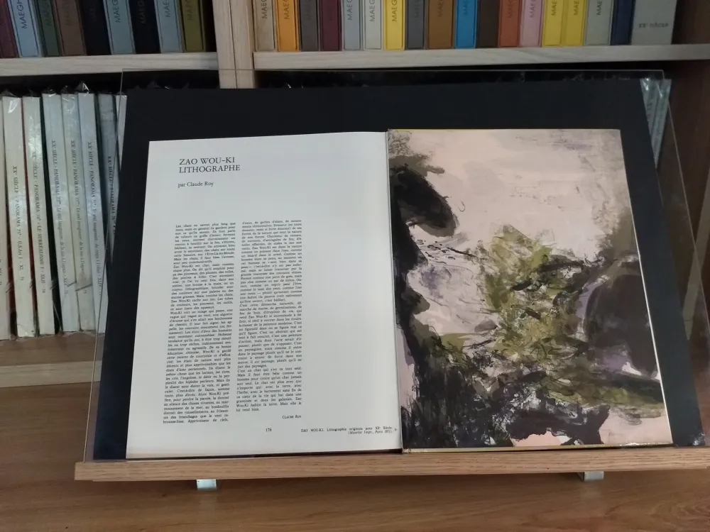 Libro Illustrato Zao - No 37