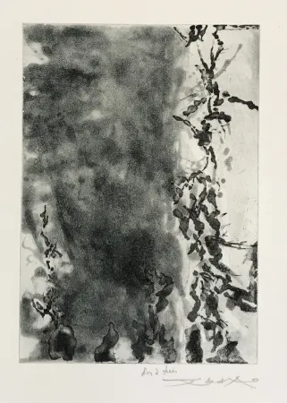 Acquaforte E Acquatinta Zao - Proustiennes (348)