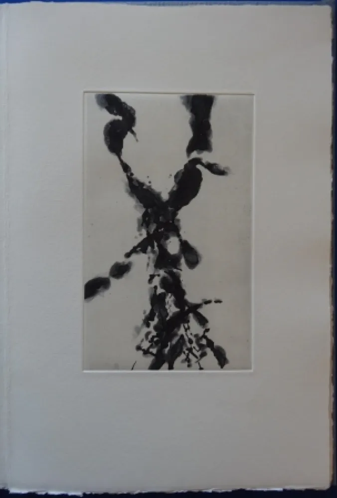 Acquaforte Zao - Rompre le cri (2 etchings)