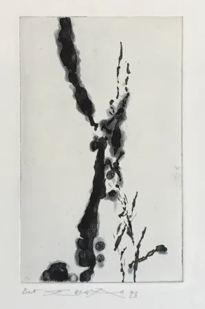 Acquaforte E Acquatinta Zao - Rompre le cri (374)