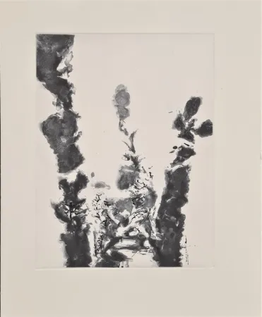 Acquaforte E Acquatinta Zao - XXIV Sonnets de Shakespeare