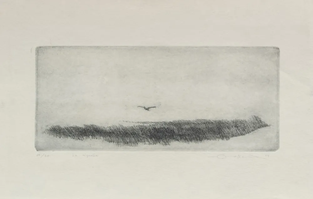 Incisione Zobel - La cigüeña