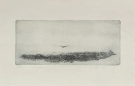 Incisione Zobel - La cigüeña