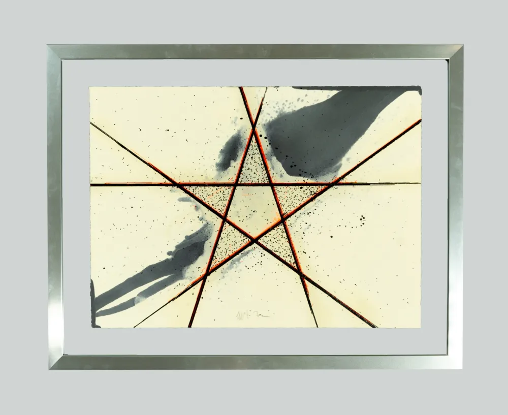 Serigrafia Zorio - Felice la stella della lettura