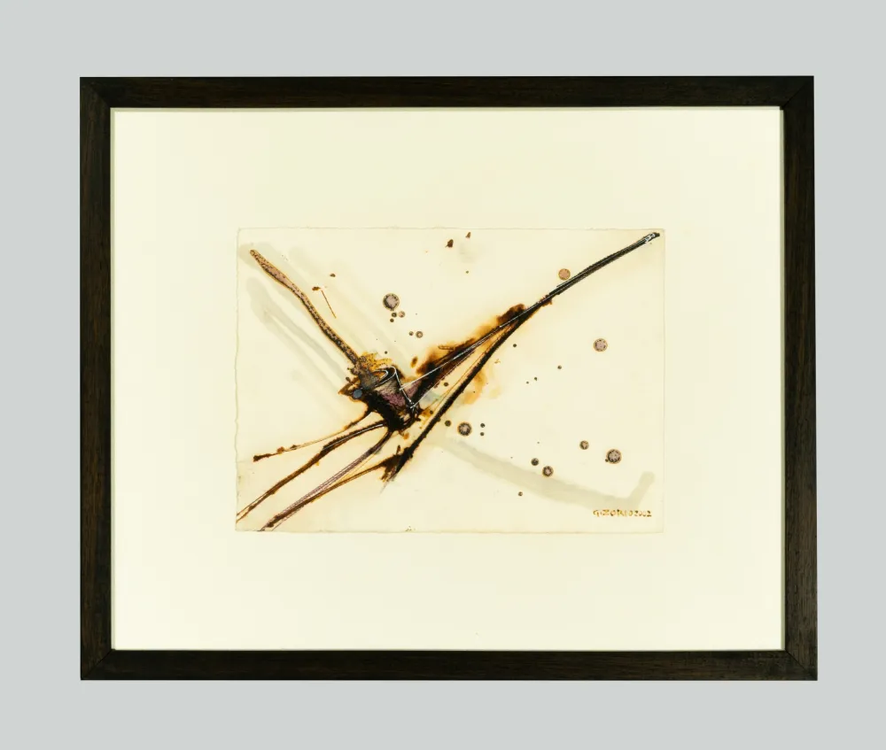 Non Tecnico Zorio - Senza titolo (Canoa)