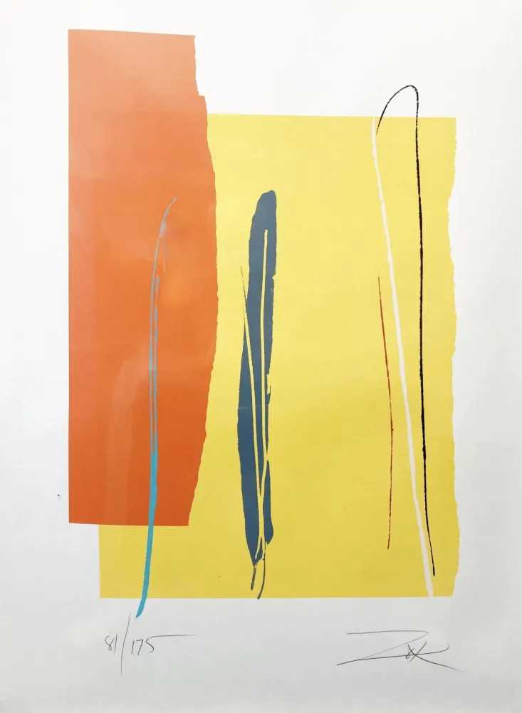 Linoincisione Zox - Untitled 3 from Niagara Series