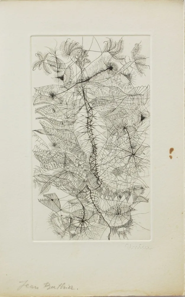 Acquaforte Zurn - Sans titre