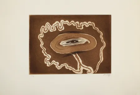 Acquaforte E Acquatinta Zush - Abraensud