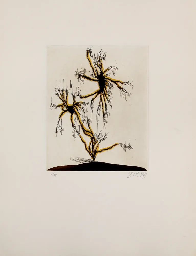 Acquaforte E Acquatinta Zush - Anzuras