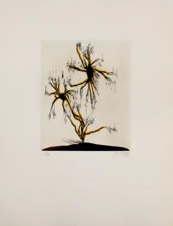 Acquaforte E Acquatinta Zush - Anzuras