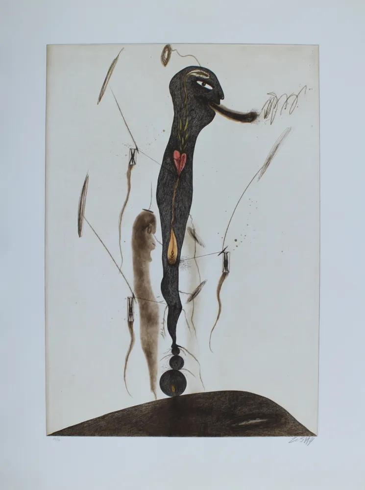 Acquaforte E Acquatinta Zush - Eglundo