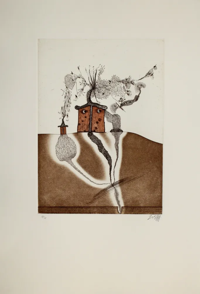 Acquaforte E Acquatinta Zush - Mahome