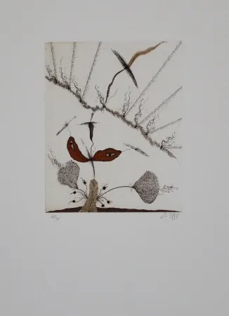 Acquaforte E Acquatinta Zush - Moplant