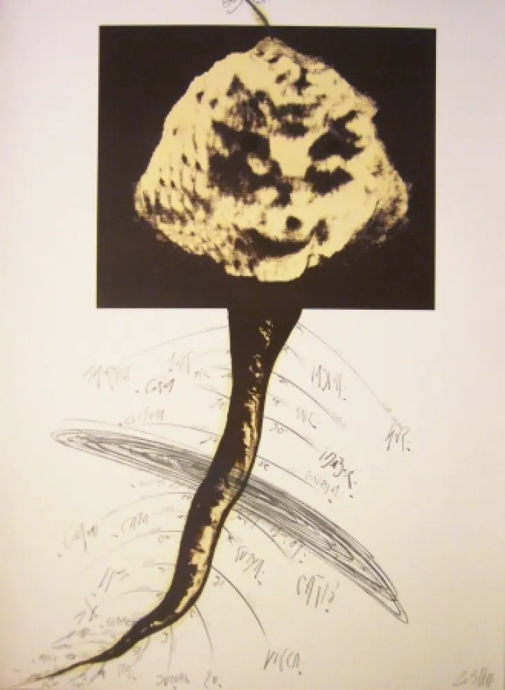 Litografia Zush - Sans titre 2