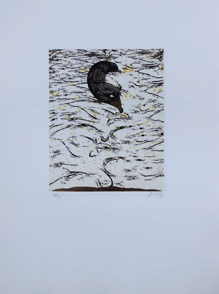 Acquaforte E Acquatinta Zush - Sascape