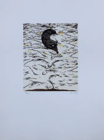 Acquaforte E Acquatinta Zush - Sascape