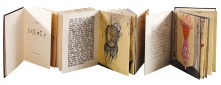 Libro Illustrato Zush - Uroxos