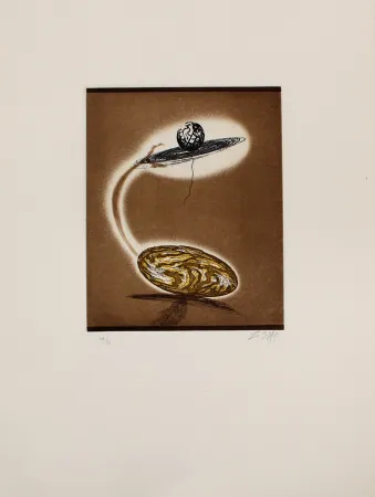 Acquaforte E Acquatinta Zush - Vloplanet