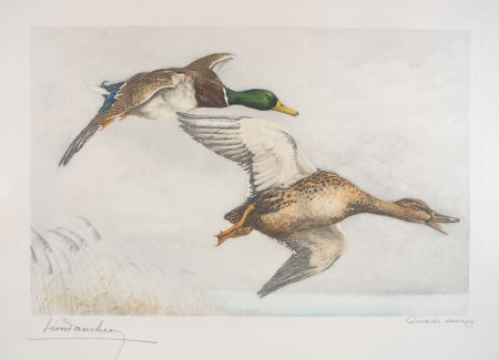 Acquaforte Danchin - 03 Canards sauvages - A couple of Mallards flying (Original)
