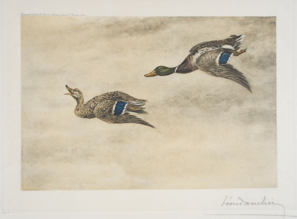 Acquaforte Danchin - 06 Canards de passage - Two passing Ducks (Original)