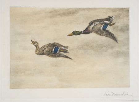 Acquaforte Danchin - 06 Canards de passage - Two passing Ducks (Original)