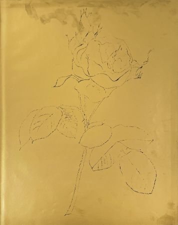 Litografia Warhol - A Gold Book