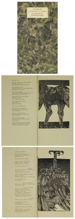 Libro Illustrato Baskin - A Primer of Birds