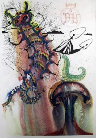 Litografia Dali - Advice from a caterpillar