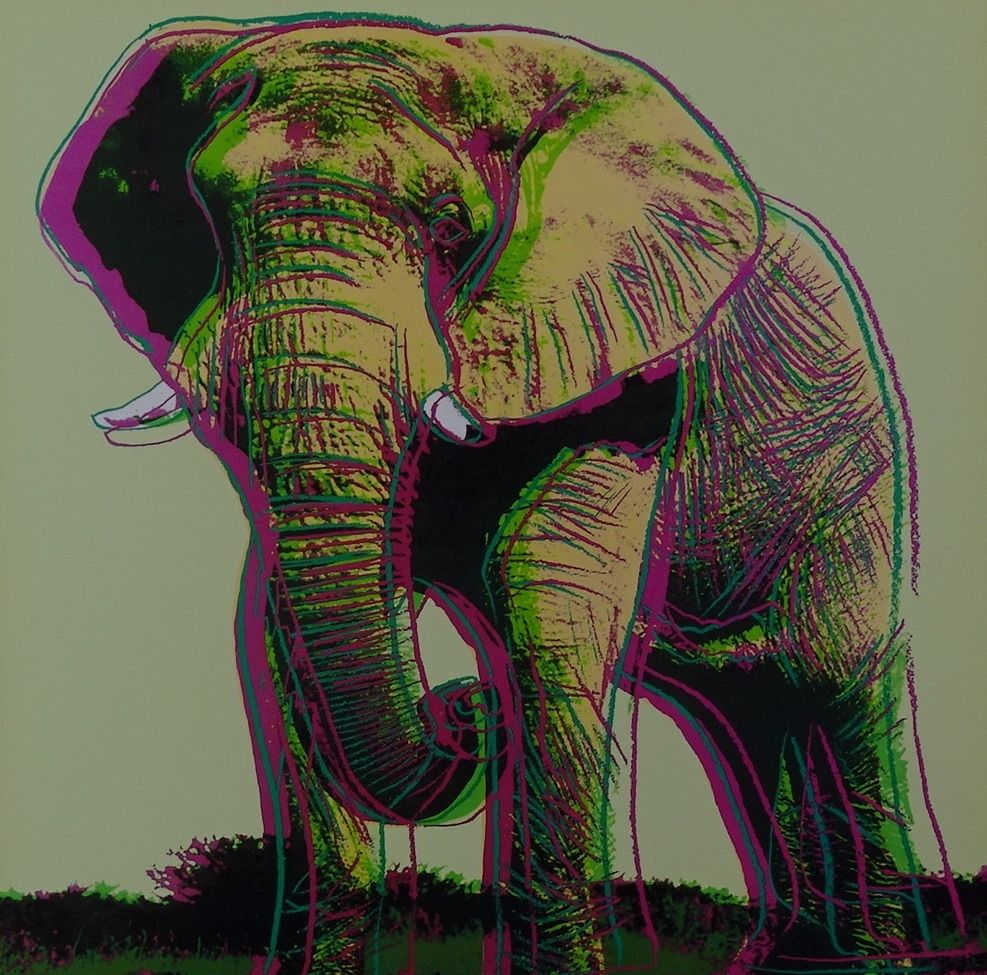 Serigrafia Warhol - African Elephant