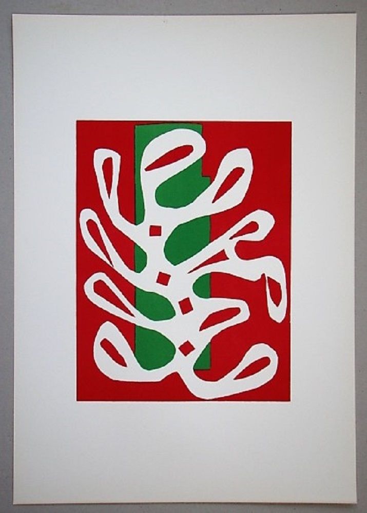 Litografia Matisse - Algue sur fond rouge et vert