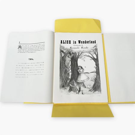 Litografia Kaneko - Alice in Wonderland (Complete set of 12 lithographs)