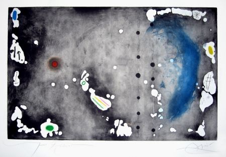Acquaforte E Acquatinta Miró - Archipel sauvage 1