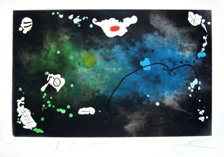Incisione Miró - Archipel sauvage n° 4