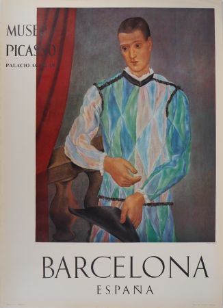 Libro Illustrato Picasso - Arlequin
