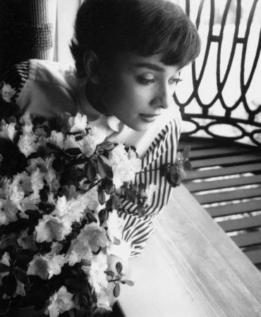 Fotografie Willoughby - Audrey Hepburn window