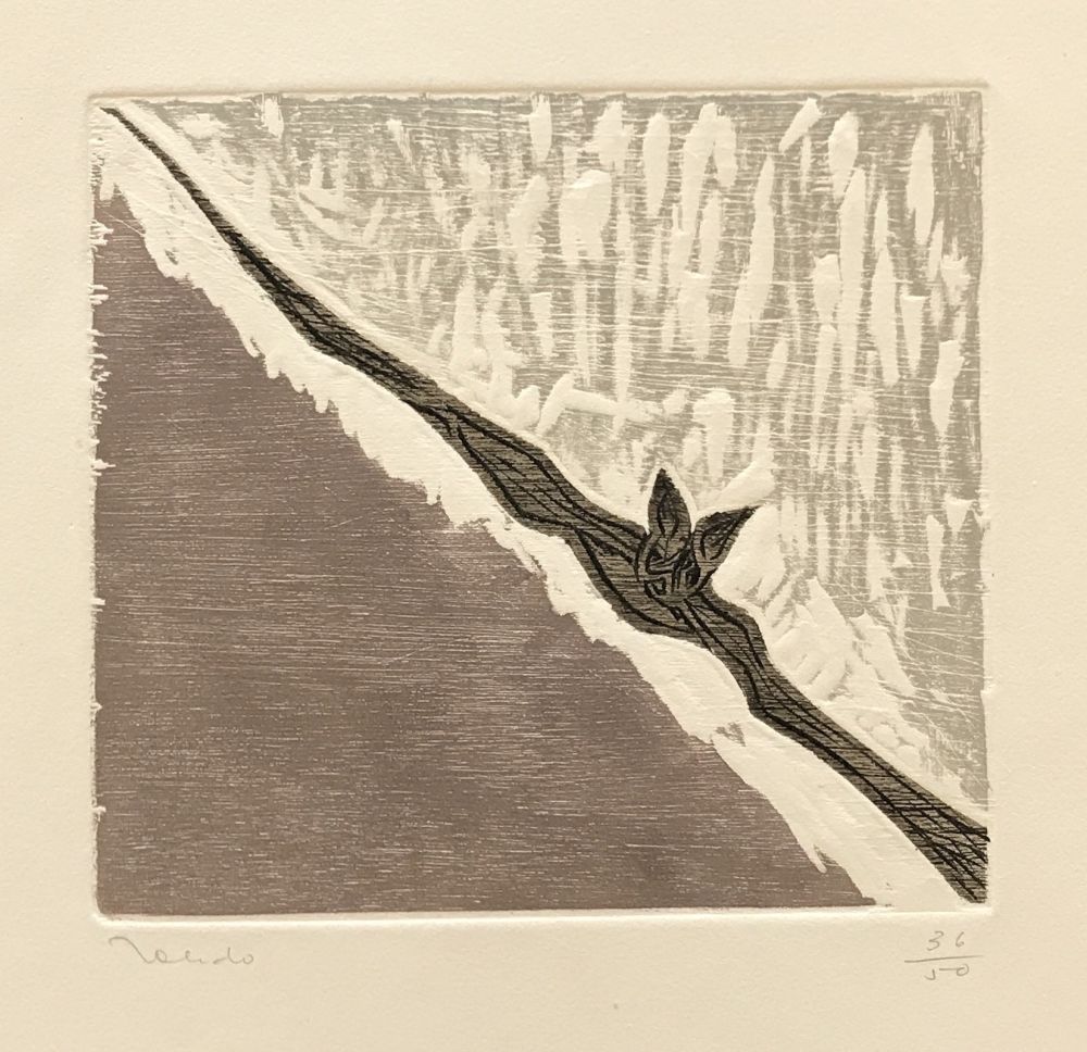 Incisione Toledo - Bat in Flight 