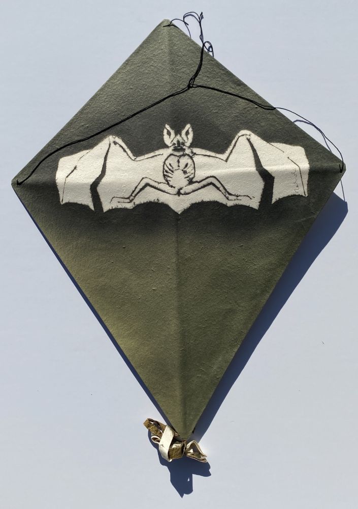 Non Tecnico Toledo - Bat on Green Background Kite