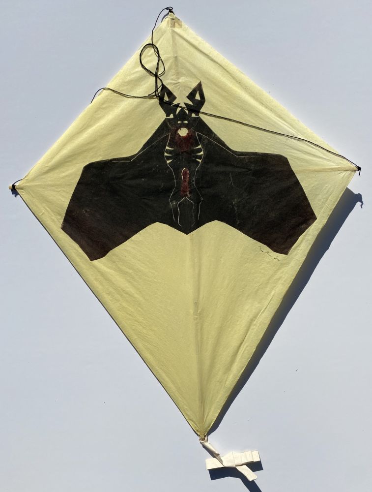 Non Tecnico Toledo - Bat on Yellow Background Kite